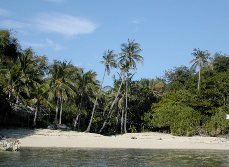 Taklong Island, Philippines , Philippines